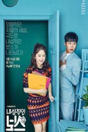 ดูหนังออนไลน์ฟรี เขินนักรักซะเลย My Shy Boss  2017 บรรยายไทย