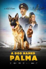 ดูหนังออนไลน์ฟรี A Dog Named Palma (Palma) (2021)