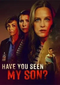ดูหนังออนไลน์ฟรี แฮฟ ยู ซีน มาย ซัน Have You Seen My Son (2024)
