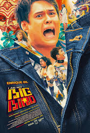 ดูหนังออนไลน์ฟรี ไอแอมนอต บิ้กเบิร์ด I Am Not Big Bird (2024)