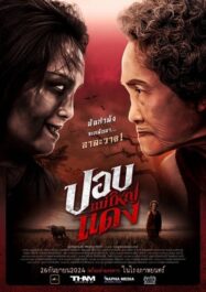 ดูหนังออนไลน์ฟรี ปอบแม่ใหญ่แดง The Haunted Granny (2024)