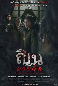 ดูหนังออนไลน์ฟรี ญินตามติด Dont Look Back 2025