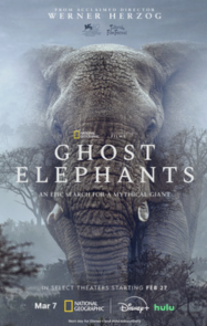 ดูหนังออนไลน์ฟรี ช้างผี Ghost Elephants 2025