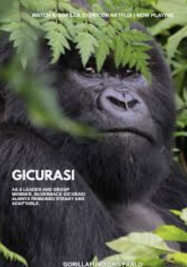 ดูหนังออนไลน์ฟรี เล่าเรื่องกอริลลา โดยเดวิด แอทเทนเบอเรอห์ A Gorilla Story (2026)