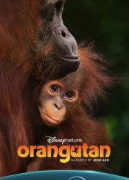 ดูหนังออนไลน์ฟรี อูรังอูตัง Orangutan (2026)